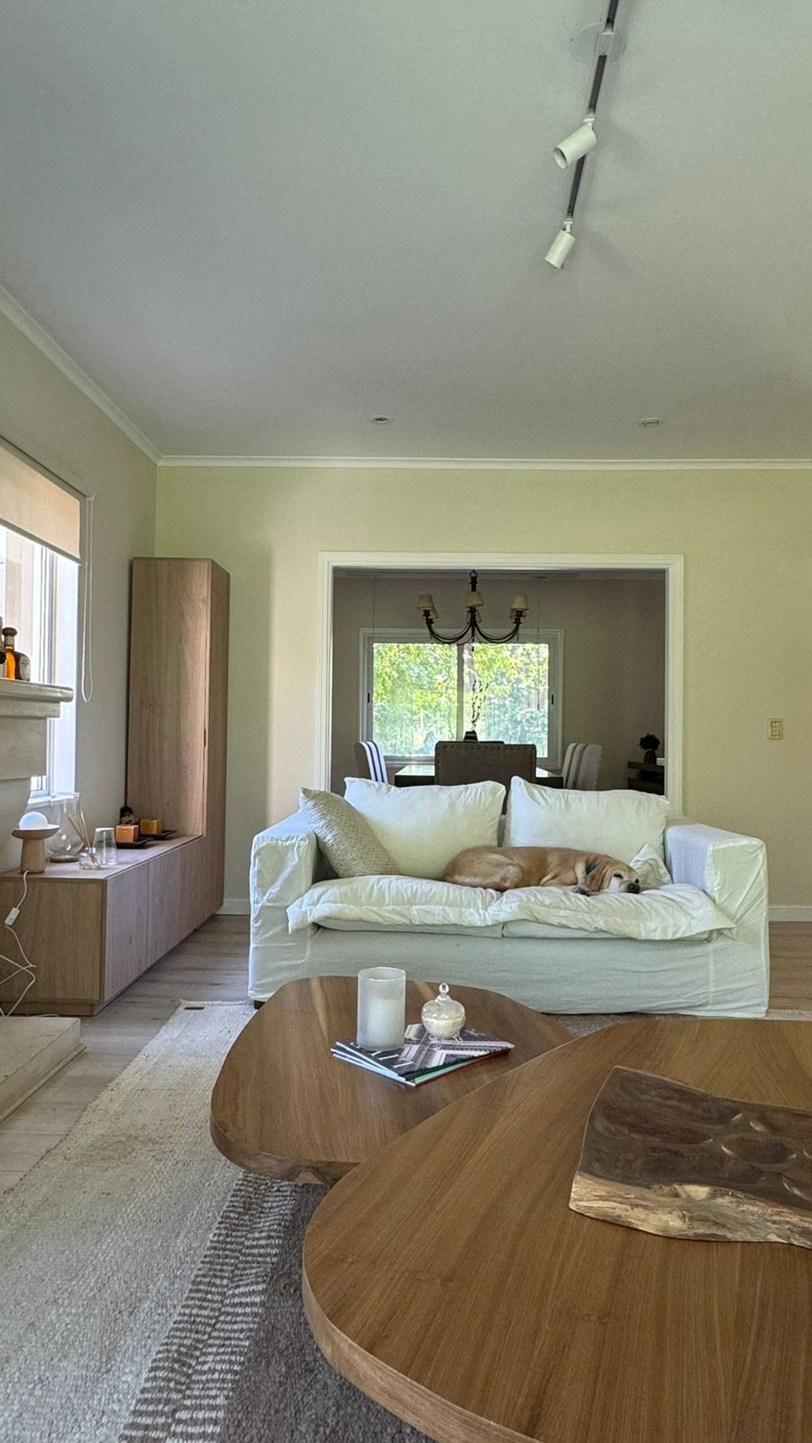 Sala de estar moderna com cachorro dormindo, mesas de madeira orgânicas — projeto La rinconada, por Casa Fi, em Pilar